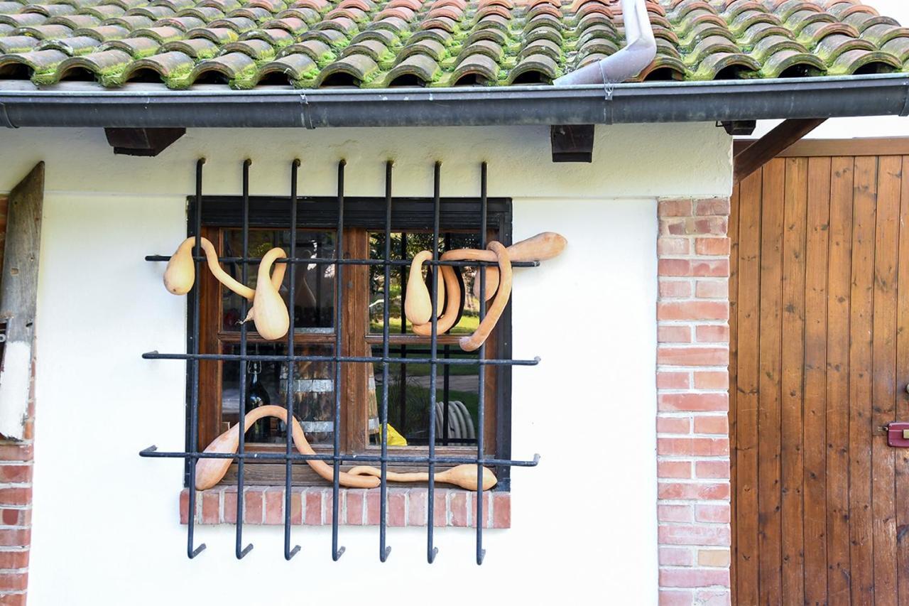 Penzion Casa Zafferano Albenga Exteriér fotografie